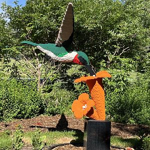 LEGO Hummingbird