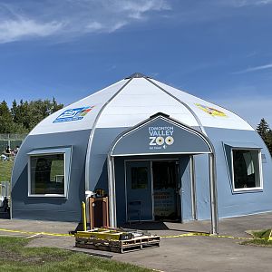 Future Carousel Building