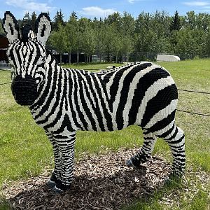 LEGO Zebra