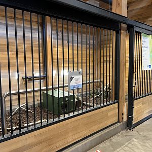 Urban Farm - Striped Skunk Exhibit