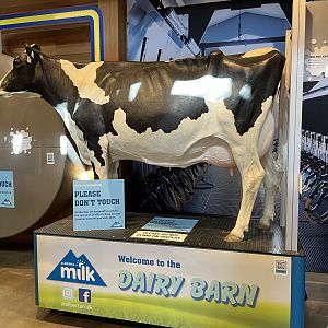 Urban Farm - New in 2019