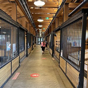 Urban Farm - New in 2019