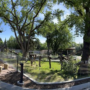 Red Panda Exhibit - New in 2019