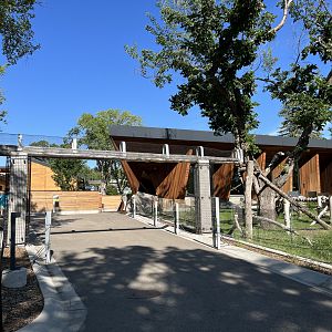 Red Panda Exhibit - New in 2019