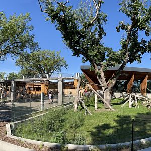 Red Panda Exhibit - New in 2019