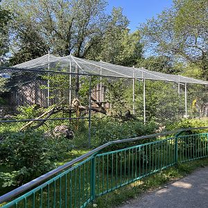 Snow Leopard Exhibit