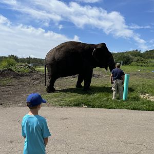 Lucy out for a stroll (close!)
