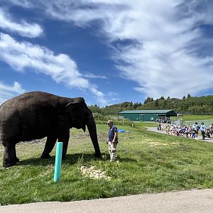 Lucy near summer camp group