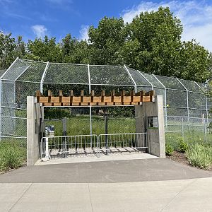 Amur Tiger Exhibit - New in 2020