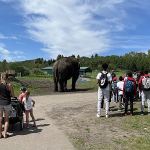 Lucy out for a stroll