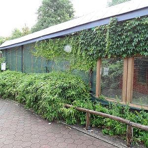 Enclosure for squirrel monkeys (07/22)