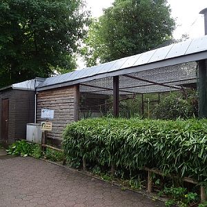 Enclosure for blue-and-gold macaws (07/22)