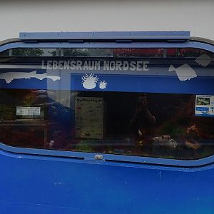 Tank for North Sea species (07/22)