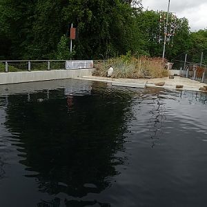 Enclosure for Humboldt penguins and harbor seals (07/22)
