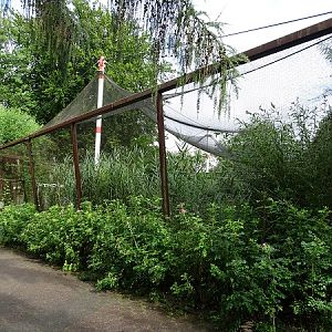 Aviary for European wading birds (07/22)