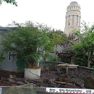 Enclosures for white-tailed porcupine (front) and binturong (back) (07/22)