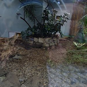 Indoor enclosure for small-clawed otters (07/22)