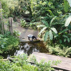 That would have been a nice view from the boat...