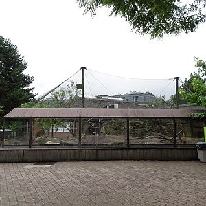 Enclosure for prairie dogs and burrowing owls (07/22)