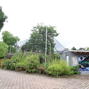 Enclosure for keas (07/22)