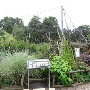 Enclosure for keas (07/22)