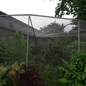Enclosure for Nicobar pigeons and hill mynahs (07/22)
