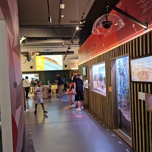 New invertebrate house