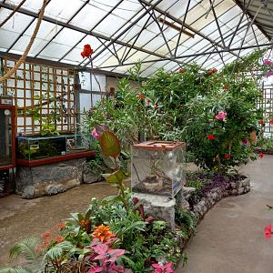 Butterfly Walkthrough