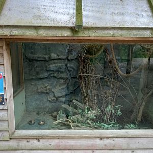 Harvest Mouse Enclosure