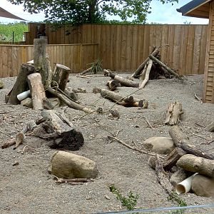 Meerkat enclosure