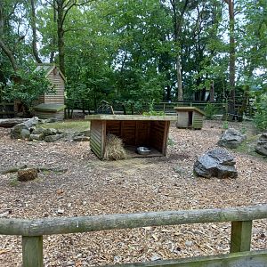Wallaby Enclosure