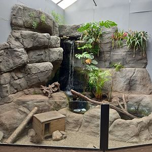 Potoroo Enclosure