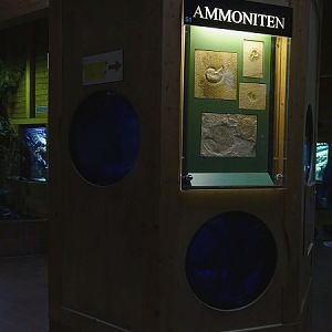 Viewing holes into pinecone fish tank (07/22)