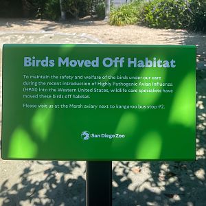 Empty Flamingo Lagoon
