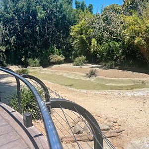 Empty Flamingo Lagoon