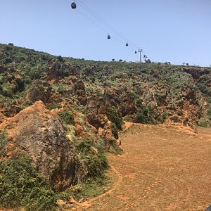 Bear Enclosure and Cable Car