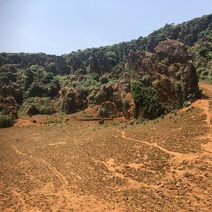 Pool Section of Bear Enclosure