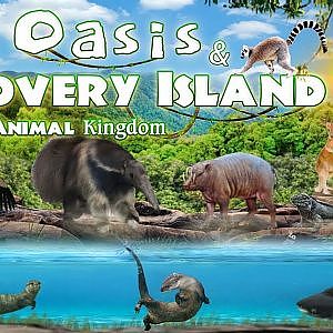 The Oasis & Discovery Island at Disney’s Animal Kingdom | Ep. 23 (Virtual Zoo Tours YouTube)