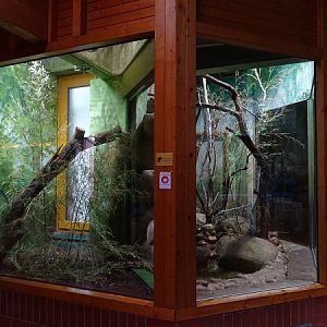 Terrarium for Burmese python (07/22)