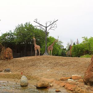 African Savanna (Giraffe, Plains Zebra) - African Journey