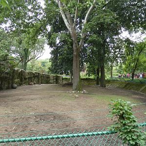 First Père David's Deer Yard (Former Zebra), Hoofstock Paddocks - July 2022