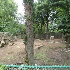 Second Père David's Deer Yard, Hoofstock Paddocks - July 2022