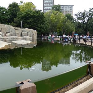 Greenish Seal Pool (Unedited Photo) - July 2022