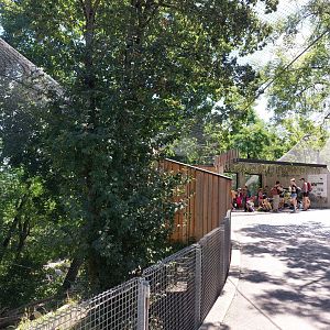 Snow leopard enclosure
