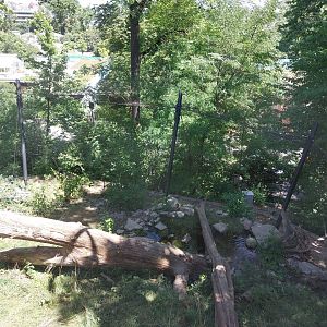 Snow leopard enclosure