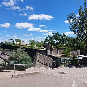 Cheetah enclosure - formerly polar bears