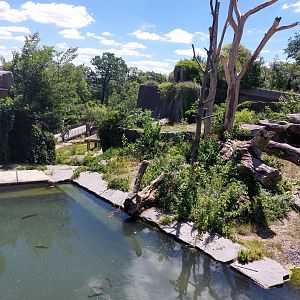 Spectacled bear enclosure