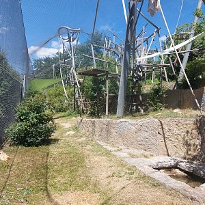 Second bonobo enclosure