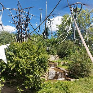 First bonobo enclosure