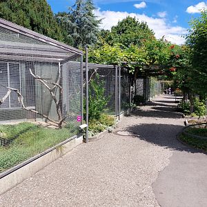 Parrot aviaries on subtropenterrasse